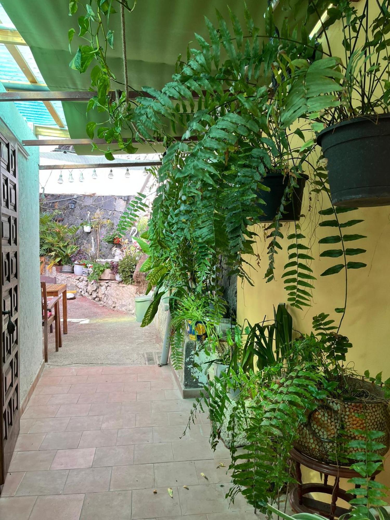 Gjestgiverier Big At Lila Puerto de la Cruz (Tenerife)